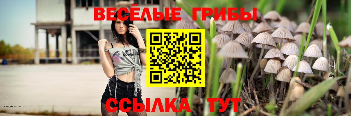 Псилоцибиновые грибы Magic Shrooms Асино