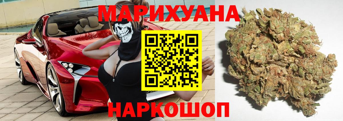 Конопля сатива Асино